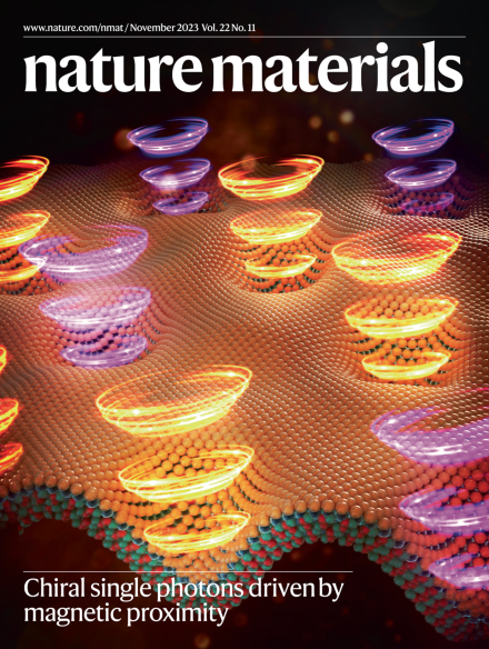 Nature Materials cover